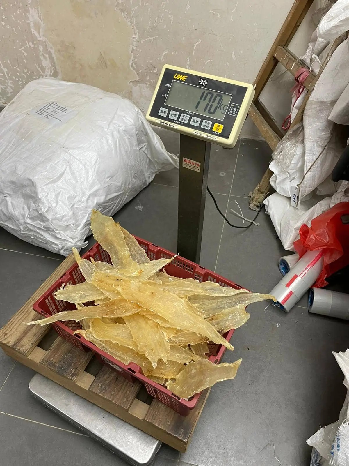 Big Mouth Croaker Fish