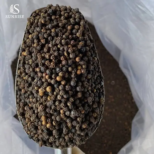 Black Pepper from Vietnam