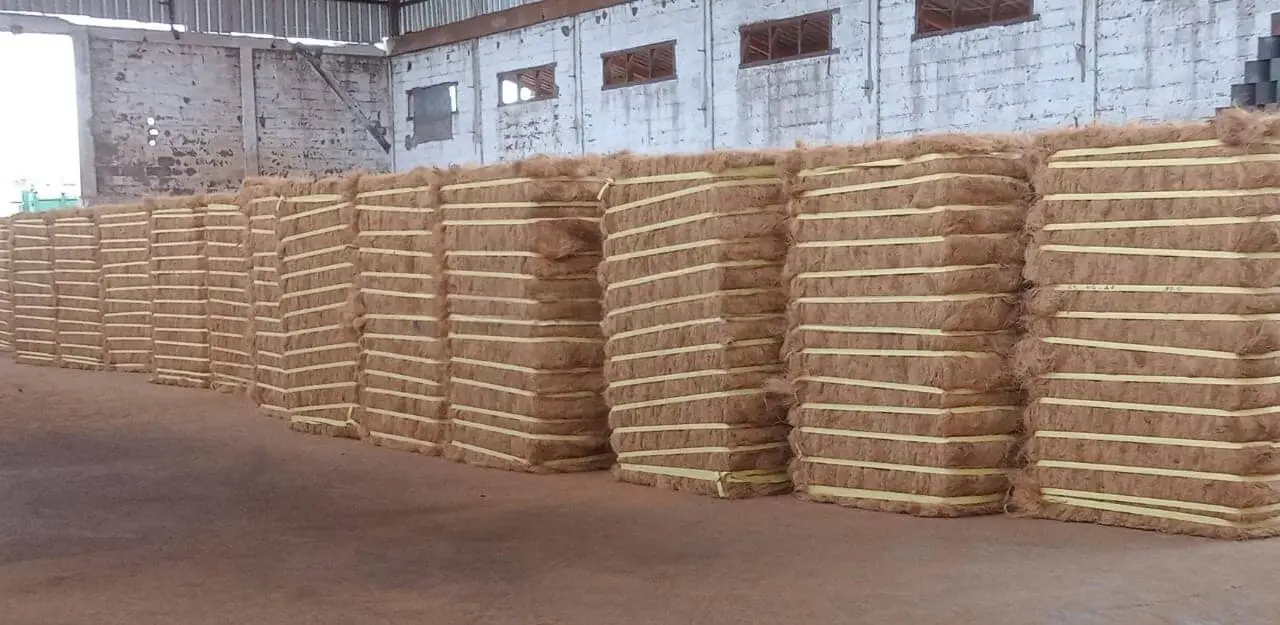 High Quality Coconut Fiber, Cocofiber, Coco Fibre
