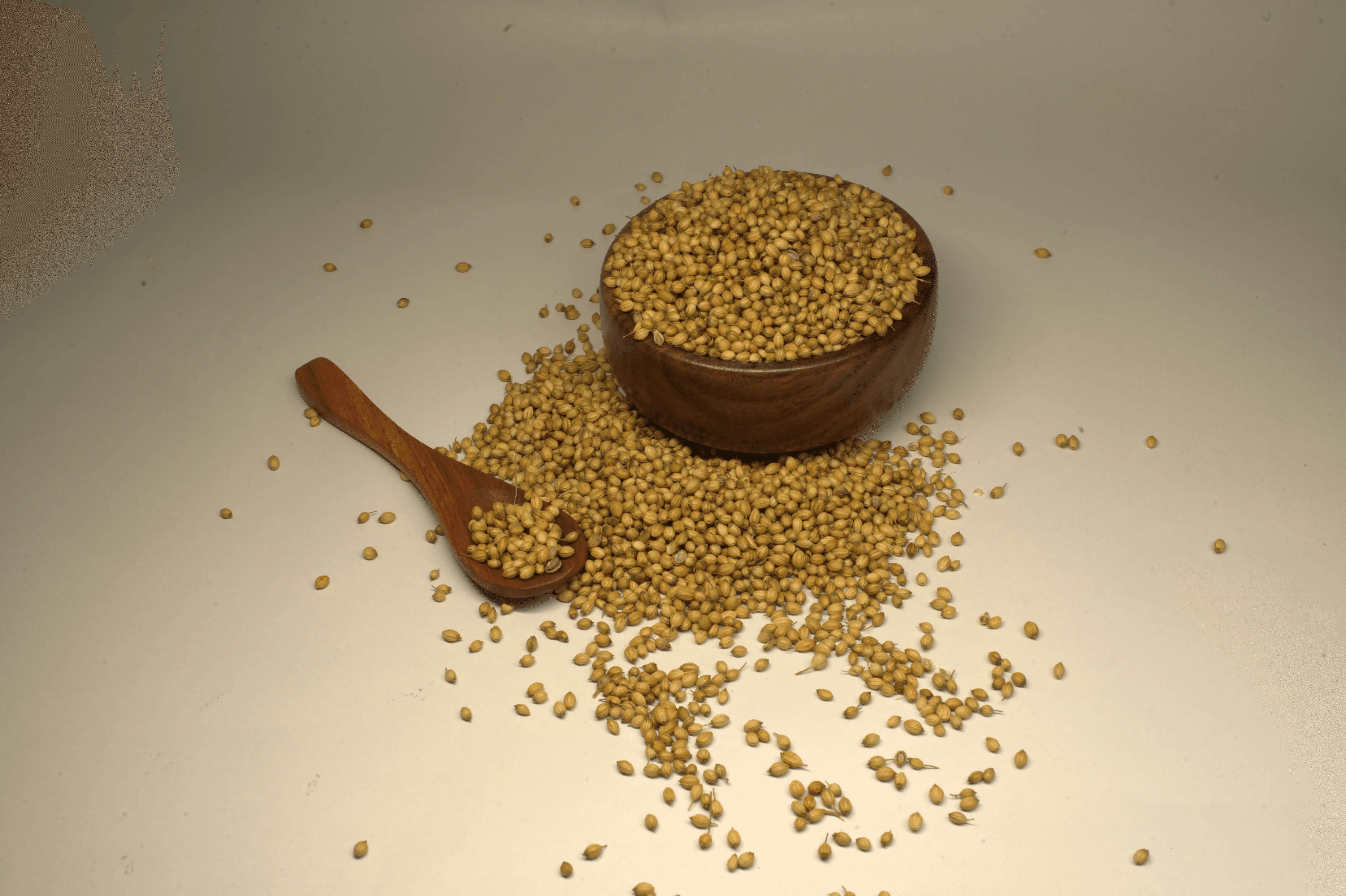 Coriander seeds