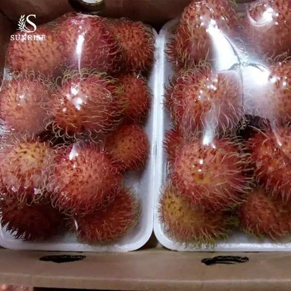 Fresh Rambutan from Vietnam