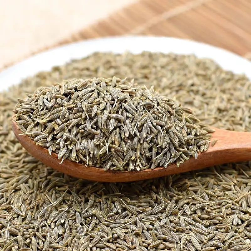 Cumin seeds