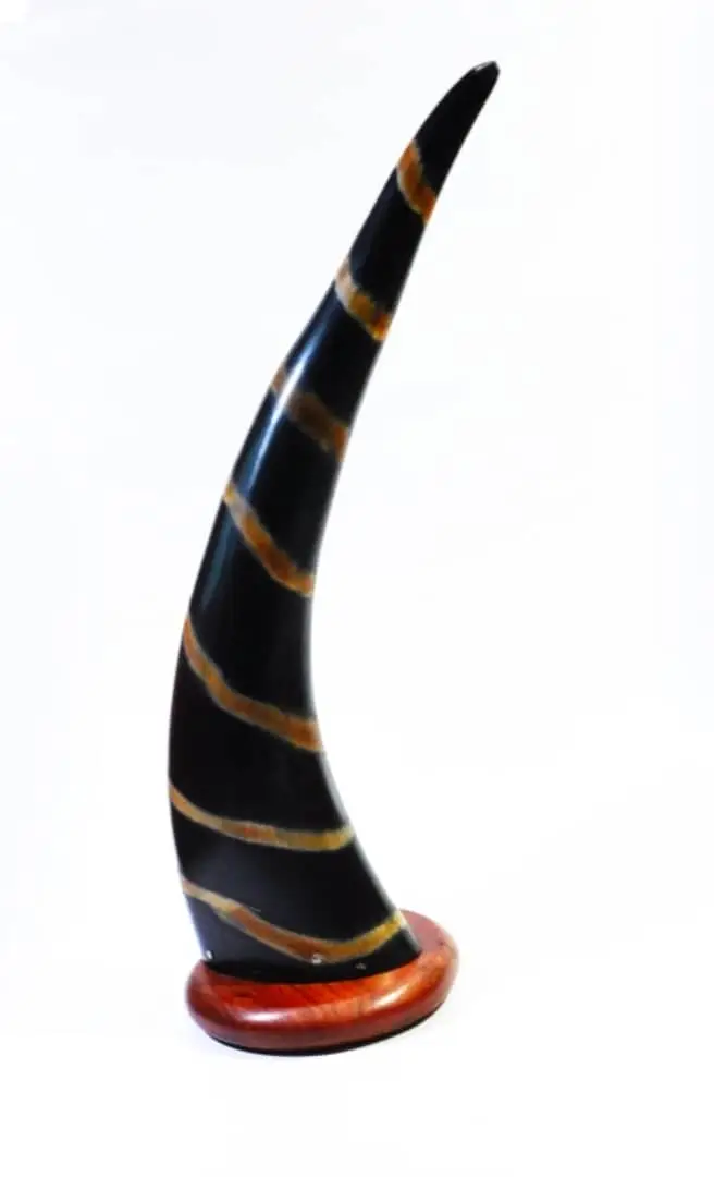 Buffalo Horn Natural Color Decorative All New Horn For Office Use Hand Polished And Unpolished