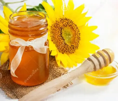 Natural Organic Raw Unfiltered Sunflower Honey