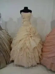 Peach Beautiful Evening Dress Gown