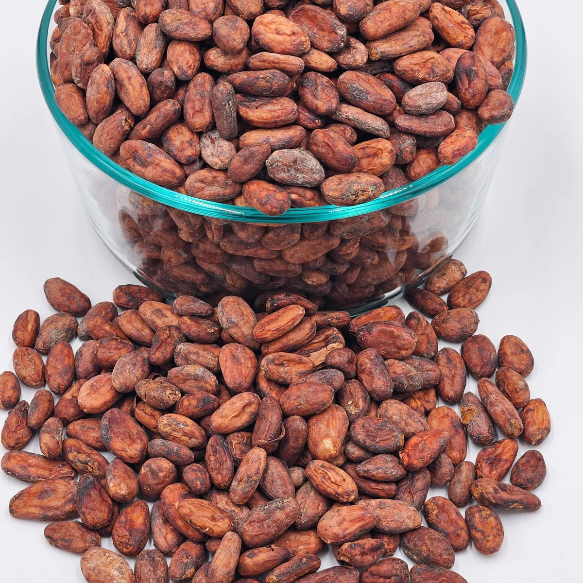 Cocoa Beans
