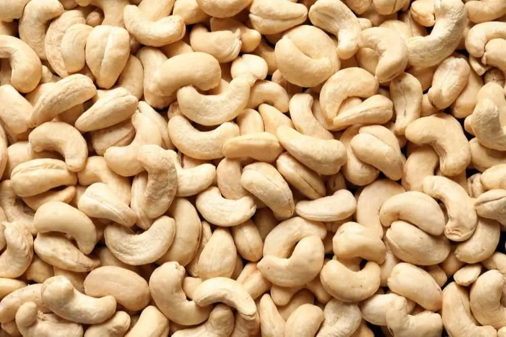 CASHEW KERNEL