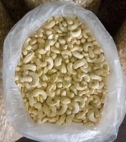 Cashew Nut 
