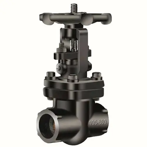 Forged Steel Gate Valve