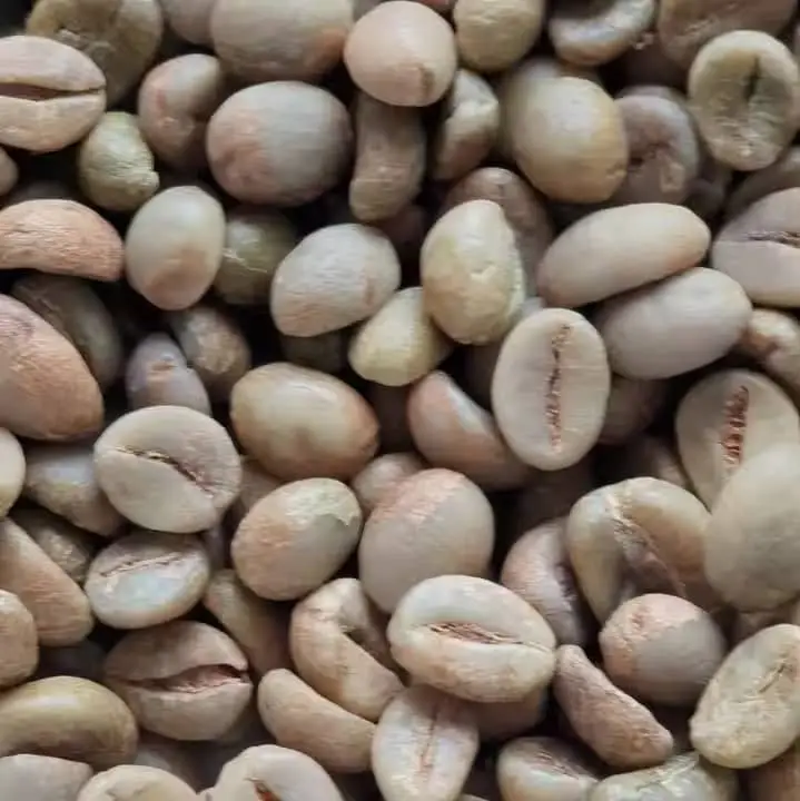 Premium Grade 1 Arabica Green Coffee Beans