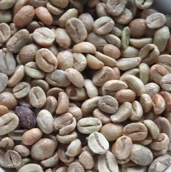 Coffee Beans Medium Roast with Smooth