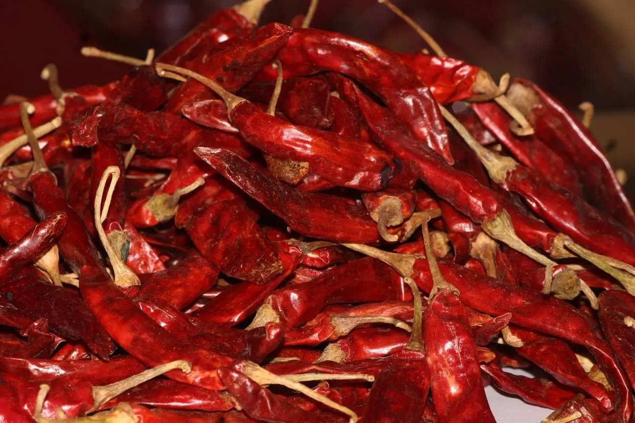 Guntoor Red Chilli
