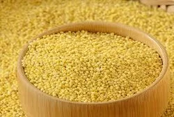 Yellow millet