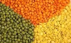 Pulses like red,green and yellow lentils