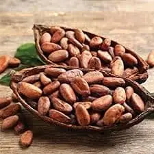 Raw Cocoa Beans
