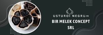 Bir Melek